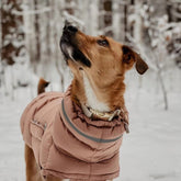 ZOLAA British Shield Waterproof Thermal Reversible Pet Vest