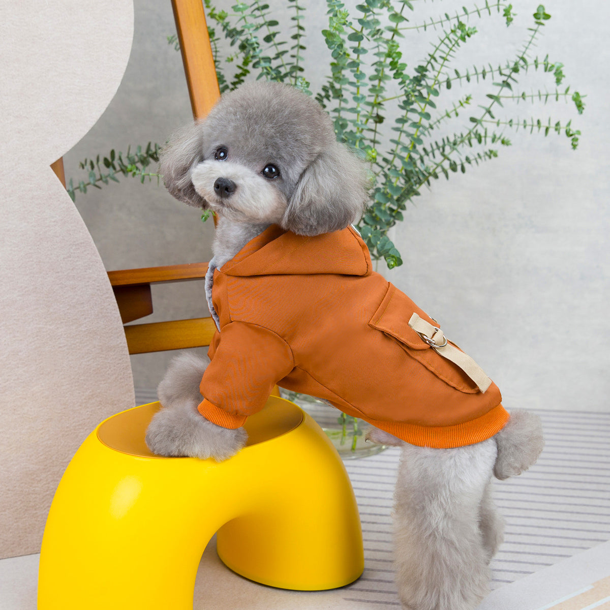 ZOLAA Urban Street casual Two-Legged Knit Pet Sweater