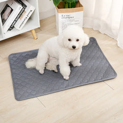 ZOLAA Reusable Absorbent Diaper Washable Puppy Training Pad