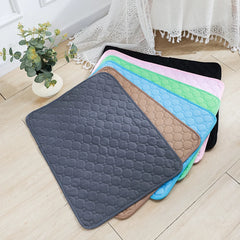 ZOLAA Reusable Absorbent Diaper Washable Puppy Training Pad